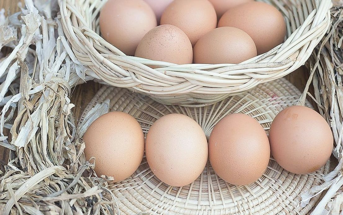 Un cartone di uova fresche appena consegnate