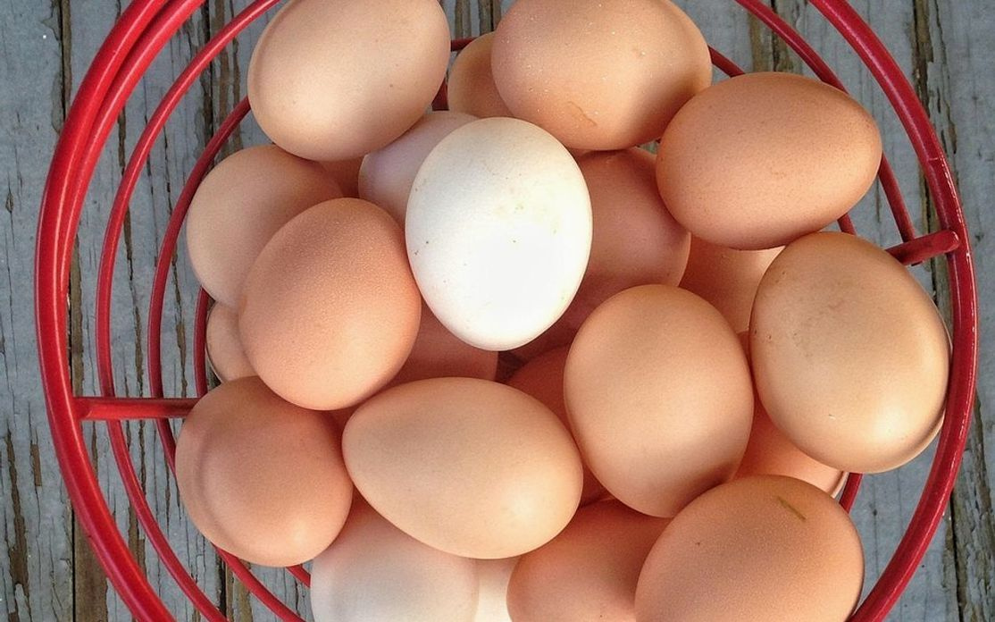 Una confezione settimanale pronta per la consegna